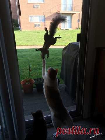 Одноклассники