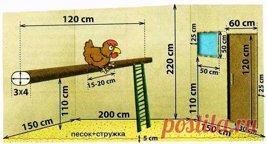 Для тех, кто выращивает кур — 6 соток