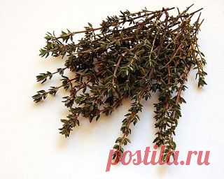 Очисти организм от паразитов.