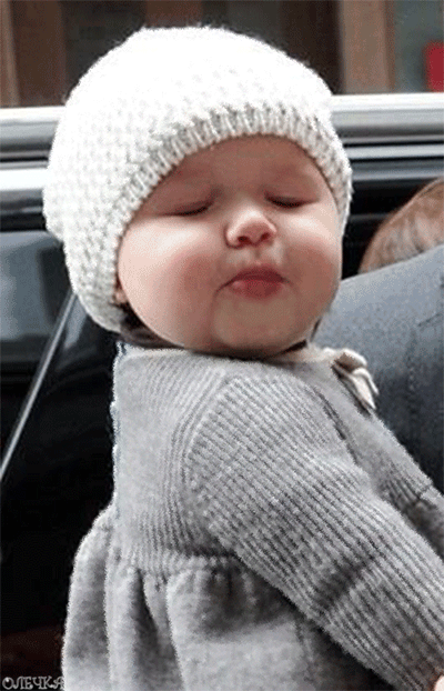 Живые фотографии – Живые картинки – Сообщество – Google+