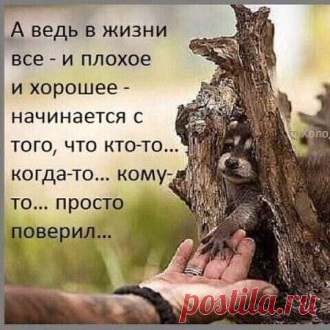 Когда-нибудь ты вспомнишь обо мне
За чашкой кофе зимним утром ранним
Возможно, я приду к тебе во сне
А может просто среди дня спонтанно

Всплывёт мой образ в памяти твоей
Когда ты будешь удалять на телефоне фото
А может в мире новостей и соцсетей
Мелькнёт не я, но на меня похожий кто-то

Я может быть напомню о себе
Знакомым тембром голоса и взглядом
Ориентировкой 