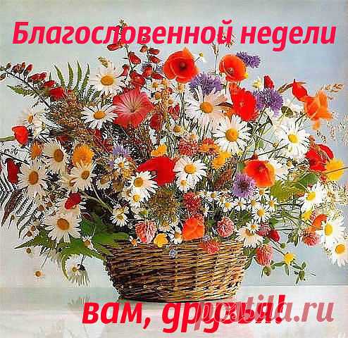 image (494×480)