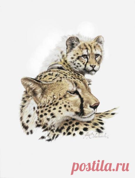 Кошачьи портреты Гая Коэлича - Искусство животных Гая Коэлича