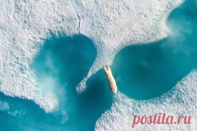 Объявлены лучшие фотографии 2017 года, сделанные дронами