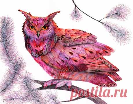 Совушки Ola Liola