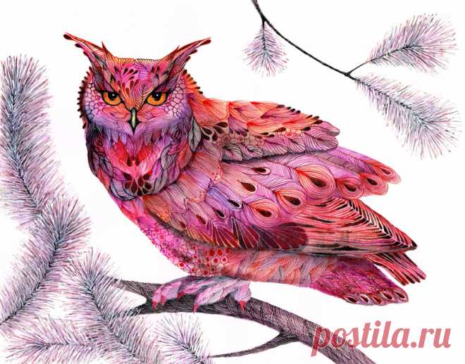 Совушки Ola Liola