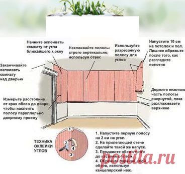 Одноклассники