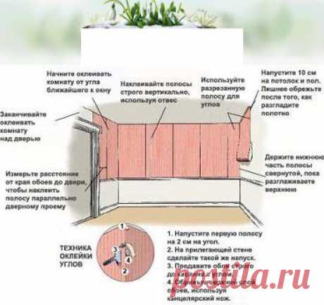 Одноклассники