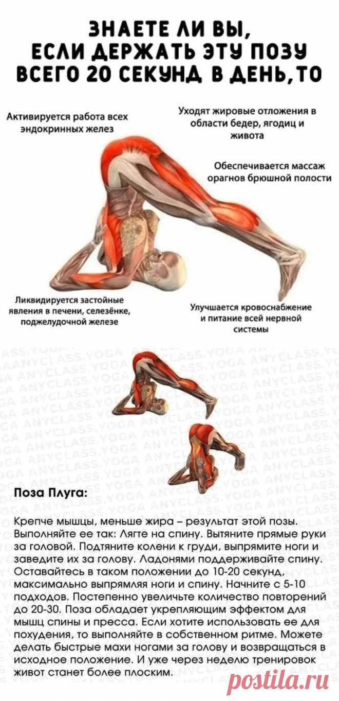 Поза Плуга - техника выполнения