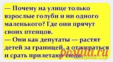 ШУТКИ НА ГОДОВЩИНУ