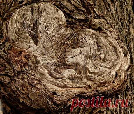 Наплывы | Фотосайт СуперСнимки.Ру