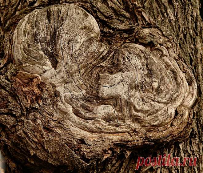 Наплывы | Фотосайт СуперСнимки.Ру