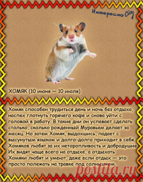 ИнтересноCity