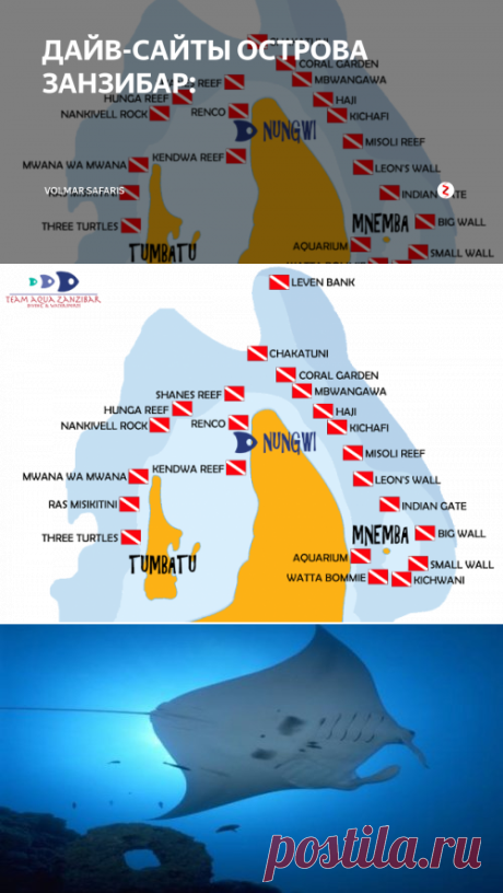 ДАЙВ-САЙТЫ ОСТРОВА ЗАНЗИБАР: | Volmar Safaris | Яндекс Дзен