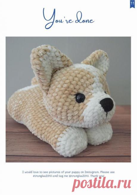 Новичкам привет: дружелюбная амигуру-собака