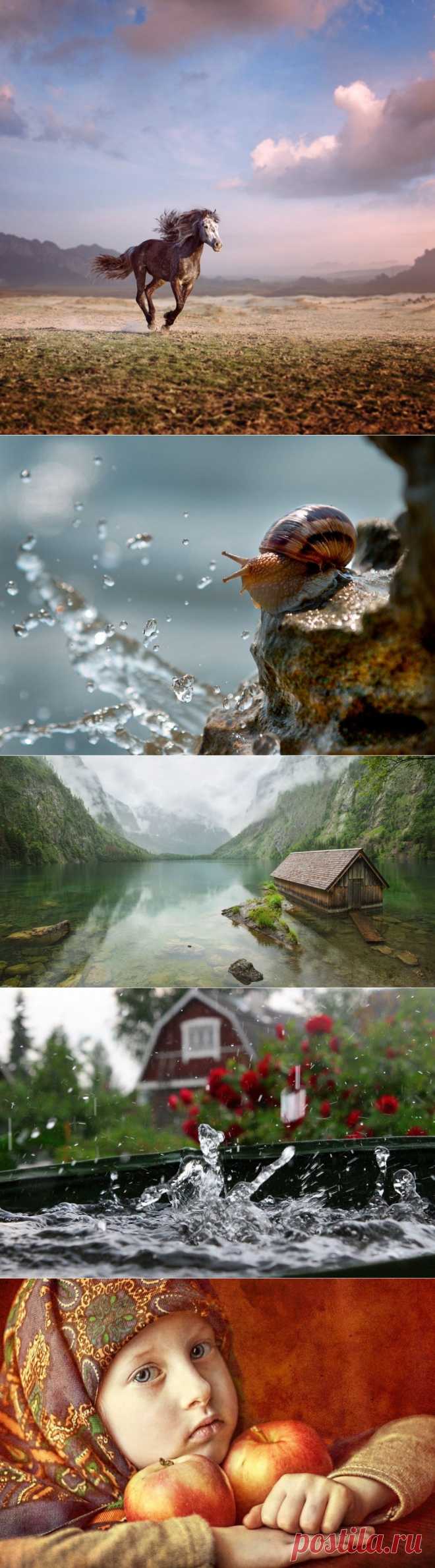 Фотоконкурс AdMe Photo Awards 2014: лучшее за неделю