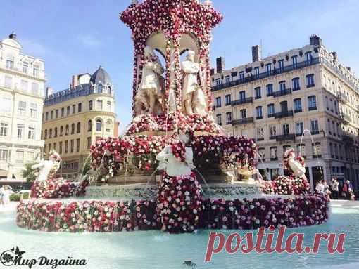 Новости Фестиваль роз в Лионе. франция