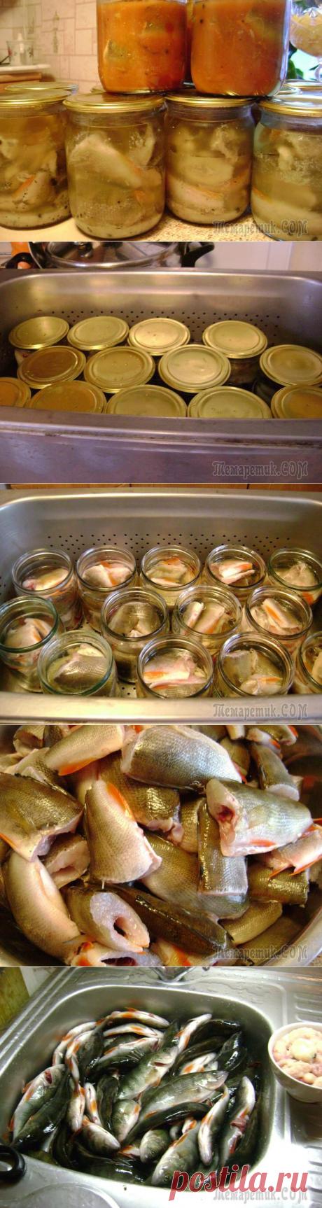 Консервы из речных окуней в масле и томате