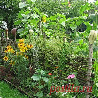 Плетень — экономичный вариант забора для дачи — 6 соток