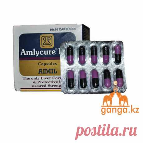 Амликар ДС - для восстаноления печени (Amlycure D.S. AIMIL), 100 кап.: продажа, цена в Караганде. натуральные препараты для лечения желчного пузыря и печени от &quot;ГАНГА Интернет-магазин&quot; - 43013324
