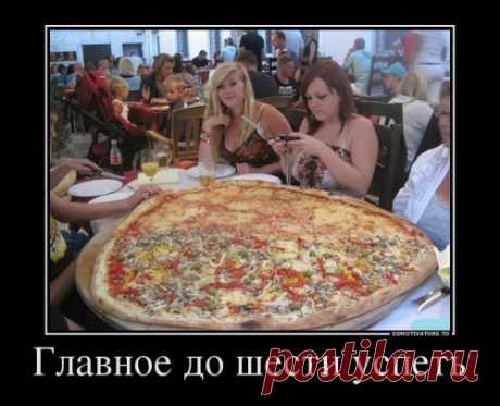 Фото-приколы и смешные картинки для всех (33 шт)