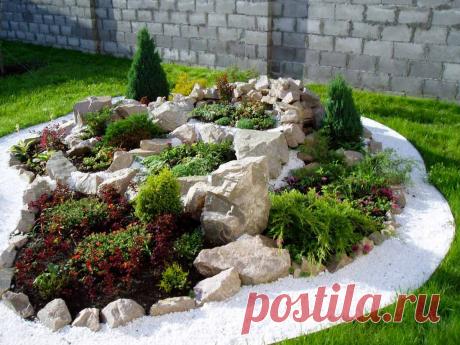 Рокарий: устройство своими руками, выбор места и растений, уход