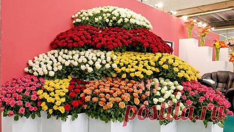 Красивые Цветы  Для Тебя