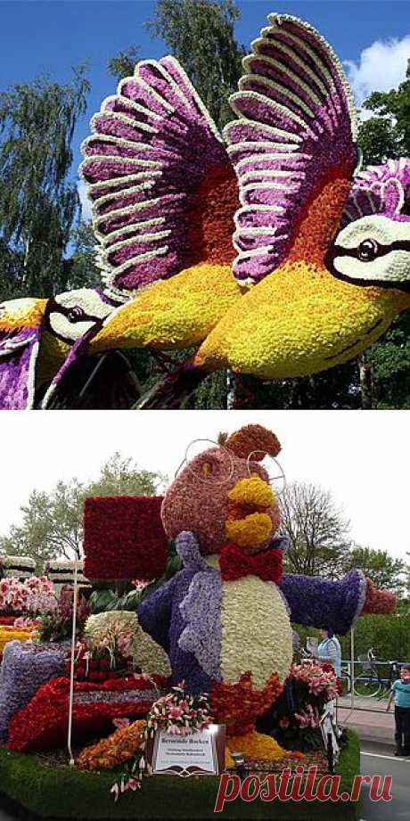 Aalsmeer Flower Parade: километры цветов и миллион живых растений