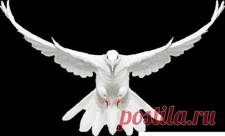 ВЕСТИ ОТ ДЕВЫ МАРИИ - ДВА ОБРАЩЕНИЯ К ЛЮДЯМ:- ВЕСТЬ 8. ОБРАЩЕНИЕ АБСОЛЮТА К ЛЮДЯМ - ВЕСТЬ 9. ОБРАЩЕНИЕ ЗЕМЛИ 5-ГО ИЗМЕРЕНИЯ К ЛЮДЯМ - ЭСПАВО (Международная Ассоциация Работников Света)