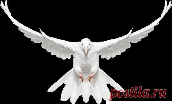 ВЕСТИ ОТ ДЕВЫ МАРИИ - ДВА ОБРАЩЕНИЯ К ЛЮДЯМ:- ВЕСТЬ 8. ОБРАЩЕНИЕ АБСОЛЮТА К ЛЮДЯМ - ВЕСТЬ 9. ОБРАЩЕНИЕ ЗЕМЛИ 5-ГО ИЗМЕРЕНИЯ К ЛЮДЯМ - ЭСПАВО (Международная Ассоциация Работников Света)