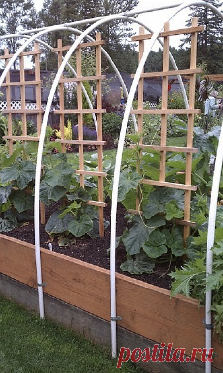 Идея для грядок - Садоводка