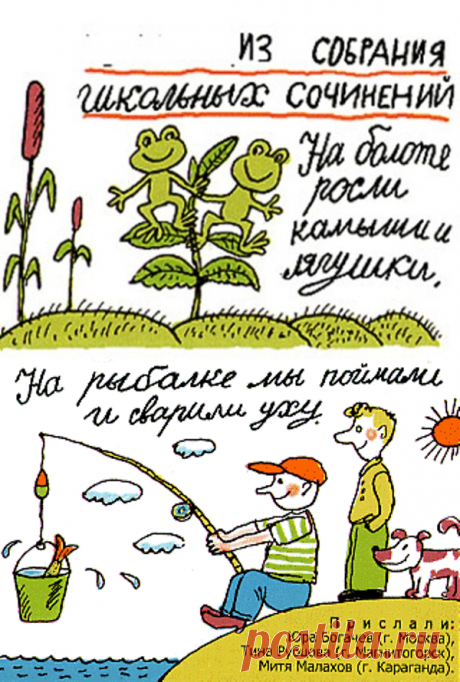 Перлы из школьных сочинений