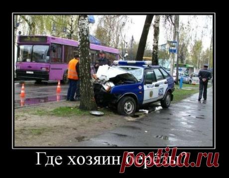 Подборка новых демотиваторов (30 фото)