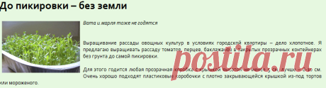 До пикировки – без земли