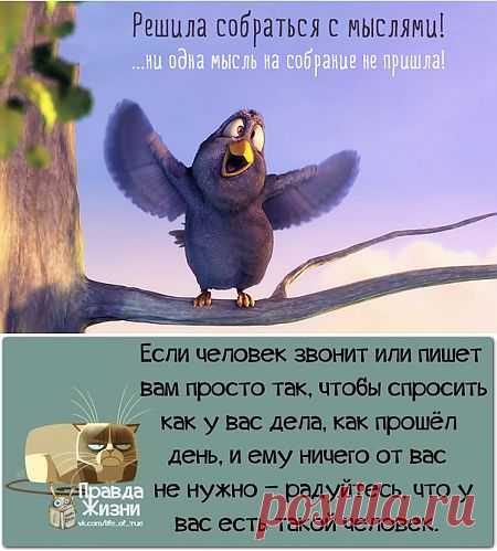 Позитивные выражения в картинках ))).