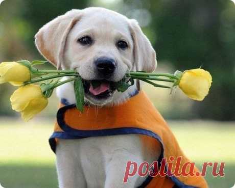 ᴼᴿᴵᴳᴵᴺᴬᴸ   SМАЙЛИКИ   (ړײ)