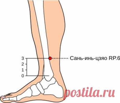 ТОЧКА САНЬ ИНЬ ЦЗЯО - СЕКРЕТ ЖЕНСКОГО ЗДОРОВЬЯ