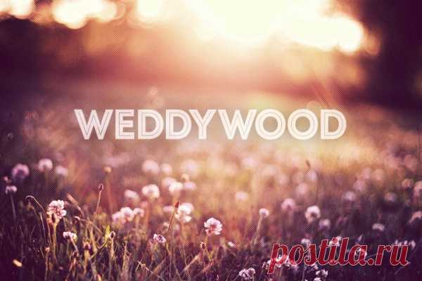 WeddyWood { Ведивуд } — проект для тех, кого объединяет любовь к современным, изысканным и элегантным свадьбам. Мы любим свадьбы со вкусом и делимся вдохновением, советами и рекомендациями, как сделать этот день незабываемым.