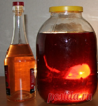 Водка на калине – рецепт настойки и полезные свойства