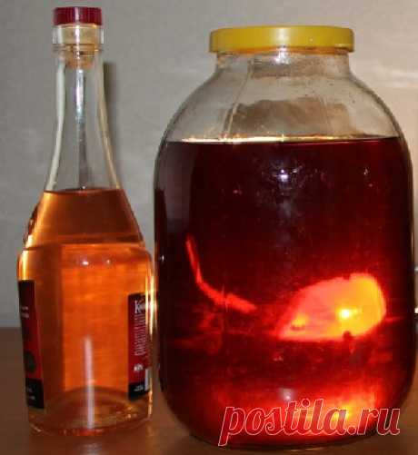 Водка на калине – рецепт настойки и полезные свойства