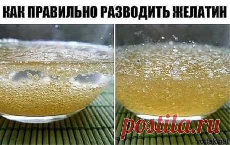 Как правильно разводить желатин