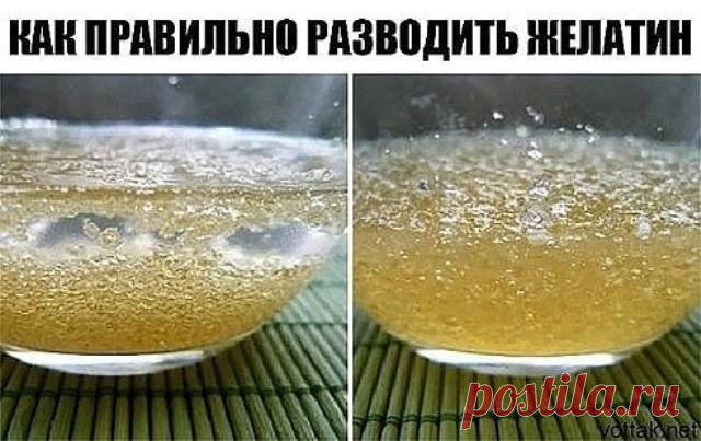 Как правильно разводить желатин