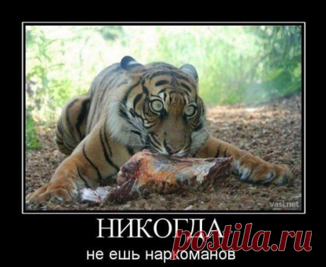 Интересные новости