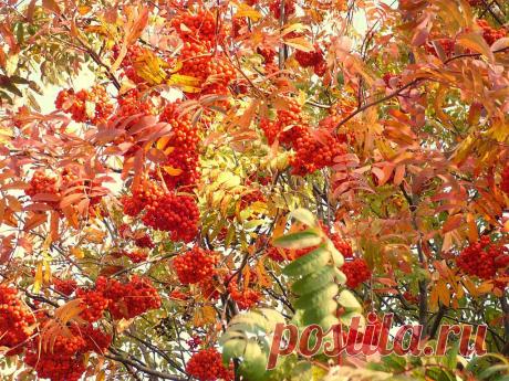 Сергей Кавецкий
60 лет, Россия, г. Лихославль