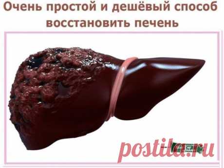 Очень простой и дешёвый способ восстановить печень. Рецепт проверен на больных циррозом печени, даже осложнённым водянкой. 
Сейчас многие жалуются на проблемы с печенью. Есть очень простой и дешёвый способ восстановить её. 
Для этого 1 кг синего (!) лука пропускают через мясорубку, смешивают с 850-900 г сахарного песка, настаивают в прохладном темном месте 1,5 недели и отжимают. 
Принимают от 3 до 8 столовых ложек в день в зависимости от тяжести заболевания. Если состояние критическое, то мож