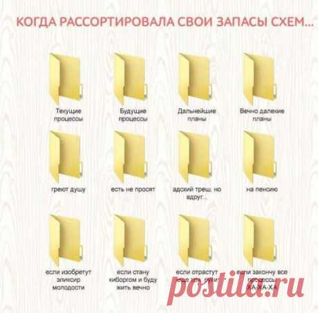 Хомяк развлекается