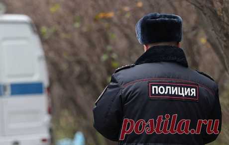 В Петербурге детский омбудсмен и полиция проверяют инцидент с задержанием подростка. Девушку остановили за нарушение правил дорожного движения