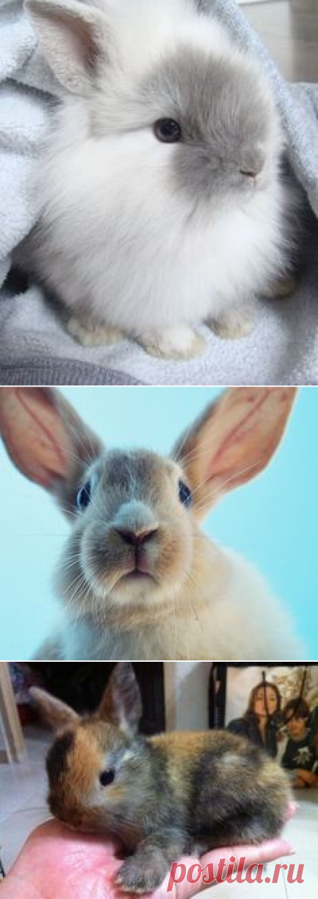 (90) Pinterest • Всемирный каталог идей
