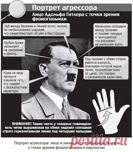 Физиогномика лица - читаем характер по чертам (лоб, глаза, нос, рот, подбородок, уши)