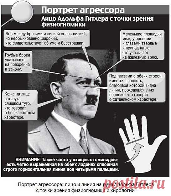 Физиогномика лица - читаем характер по чертам (лоб, глаза, нос, рот, подбородок, уши)